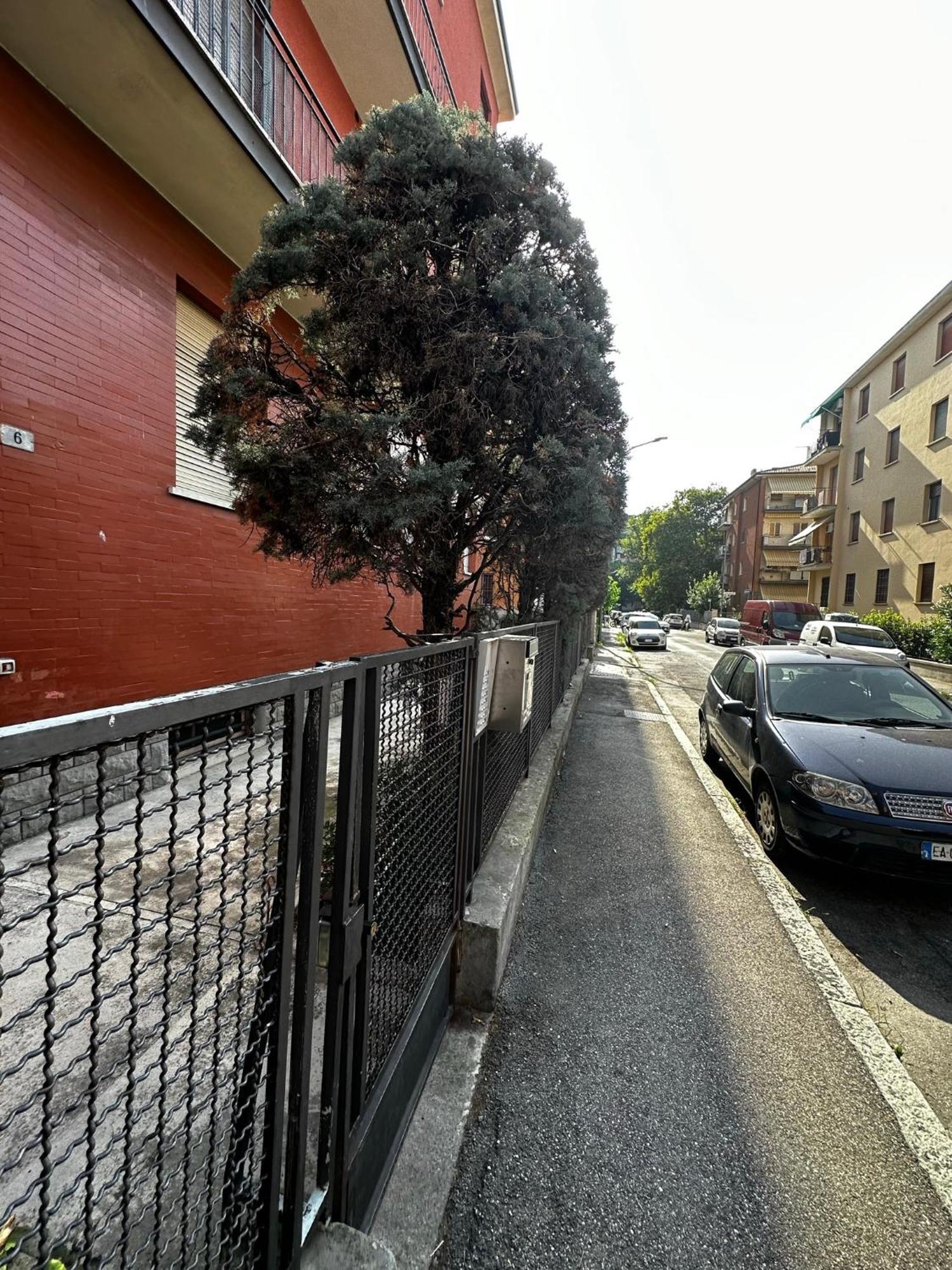 Gemma Suites Whole Apartment Μπολόνια Εξωτερικό φωτογραφία
